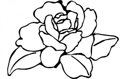 Скачать dxf - Разукрашка цветок роза раскраска роза цветок цветок роза