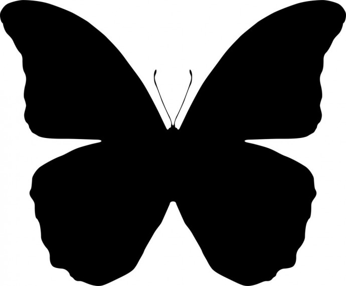 Бабочка силуэт бабочки трафарет бабочки контур бабочки шаблон бабочки