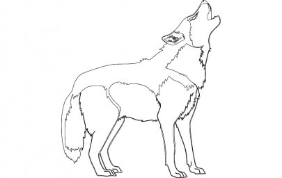 Скачать dxf - Рисунок волка карандашом для детей волк карандашом поэтапно