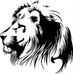 Лев лев тату черно белые рисунки лев схема вышивка