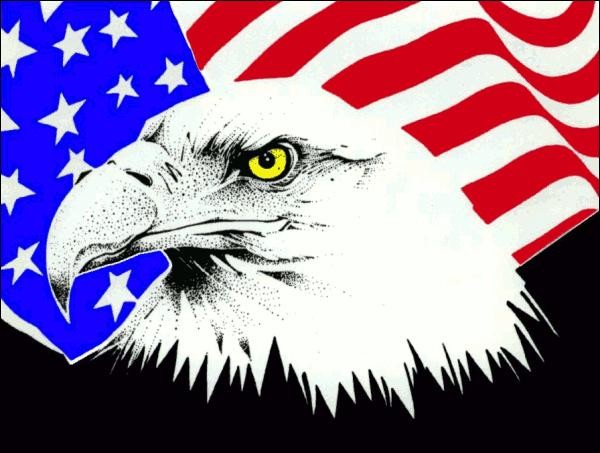 Скачать dxf - Флаг сша с белоголовым орланом символ америки белоголовый
