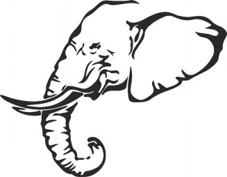 Контур головы слона силуэт головы слона слон в профиль рисунок