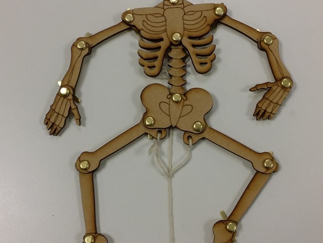 Скачать dxf - Скелет lasercut skeleton поделка скелет скелет из бумаги
