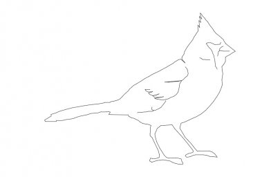 Скачать dxf - Птица контур птица кардинал раскраска шаблон птицы рисунок