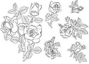 Наброски розы на листочке цветочный рисунок эскиз тату роза с