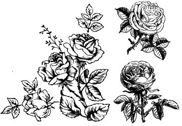 Рисунки для выжигания цветы красивые рисунки розы роза графика растр эскиз 5088
