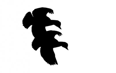 Скачать dxf - Летящий ворон силуэт силуэт ворона в полёте орел