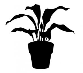 Скачать dxf - Силуэт домашнего растения цветы в горшках горшечные растения