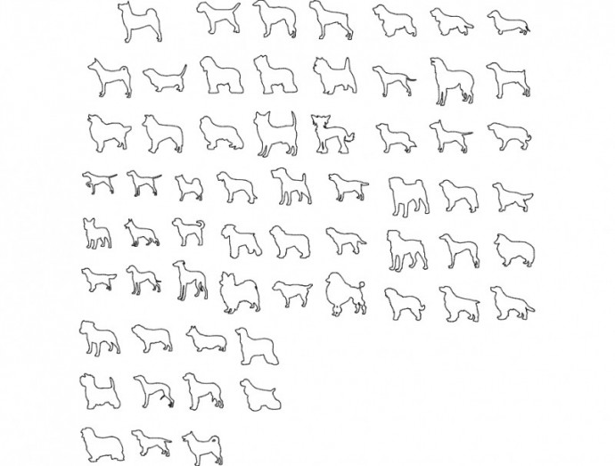 Скачать dxf - Рисунок рисунки животные эскизы животных животные эскизы рисунки