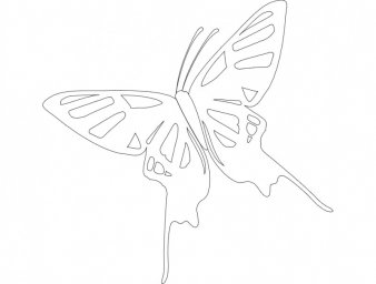 Скачать dxf - Трафарет бабочки для вырезания шаблоны бабочка шаблон для