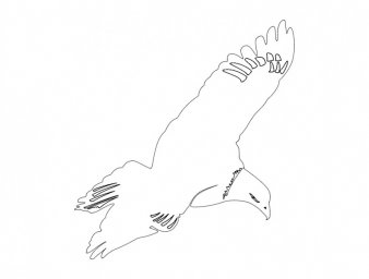 Скачать dxf - Орел шаблон для вырезания трафареты птиц контур птицы