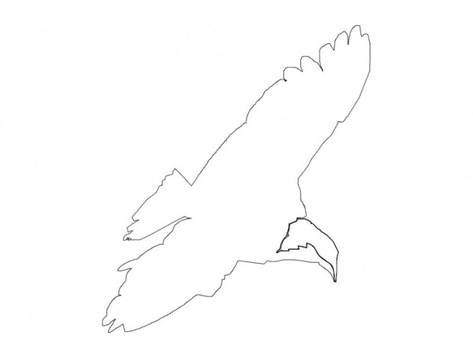 Скачать dxf - Контур птицы для вырезания шаблоны летящих птиц для