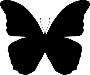 Бабочка силуэт бабочка трафарет бабочки шаблон бабочки макет бабочки
