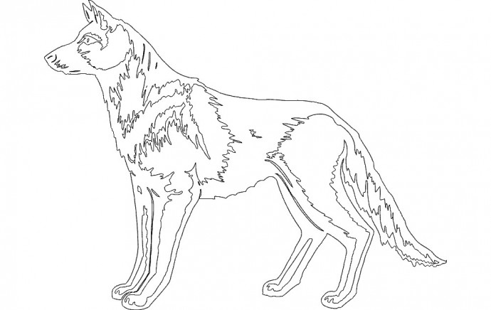 Скачать dxf - Рисунок волка карандашом для детей волк набросок волк