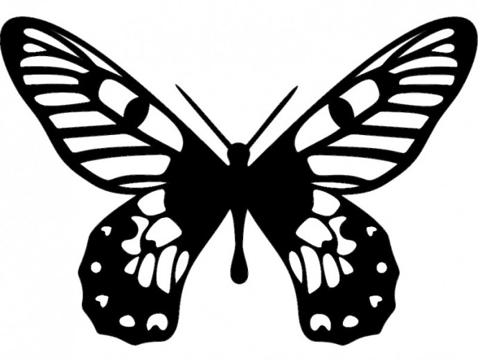 Скачать dxf - Бабочки изображение черно контурное изображение бабочки бабочка симметричная