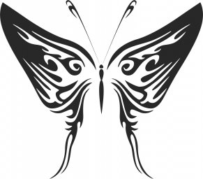 Бабочки векторные узоры бабочки векторное изображение бабочки бабочка графика бабочка