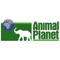 Логотип энимал планет animal planet логотип канала энимал плэнет animal planet 2861