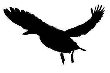 Скачать dxf - Силуэт птицы силуэты птиц орел силуэты силуэт орла