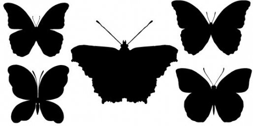 Бабочка силуэт трафарет бабочки трафареты бабочек для вырезания из