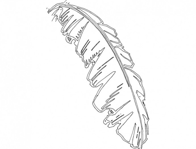 Скачать dxf - Рисунок пера перо карандашом контур пера для вырезания