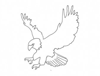 Скачать dxf - Раскраска орел орел шаблон для вырезания орел раскраска