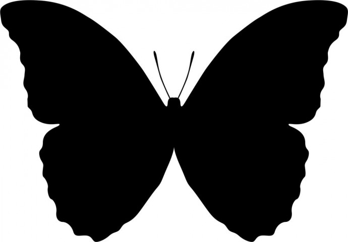 Бабочка силуэт бабочка трафарет бабочки бабочка силуэт для лазера