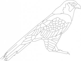 Скачать dxf - Скопа раскраска раскраска птицы попугай карандашом попугай раскраска