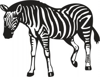 Зебра раскраска зебра вектор зебра шаблон зебра мультяшная зебра поэтапно