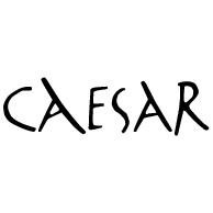 Шрифты cesar логотип рисунок надписи в векторе векторные логотипы Распознать текст 4228