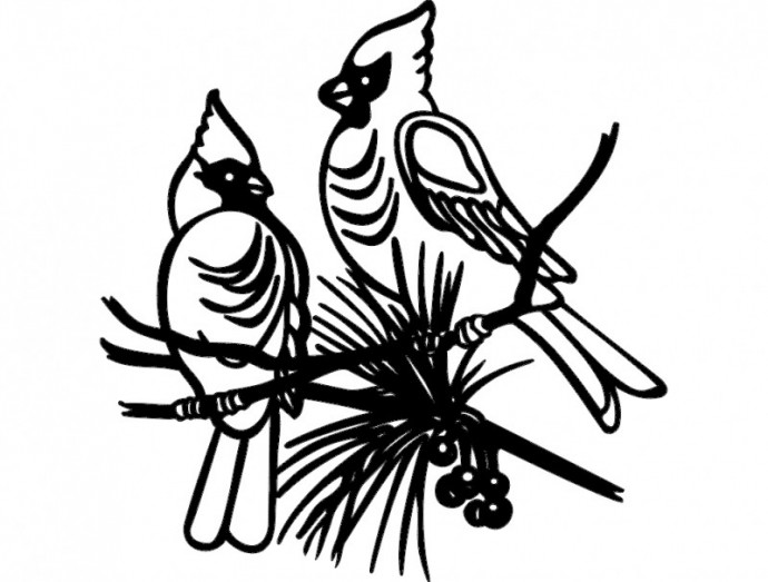 Скачать dxf - Раскраски птицы птица рисунок раскраска рисунок птички трафареты