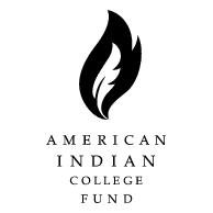 Пламя логотип огонь логотип вектор значок огня значок пламя american indian 2364