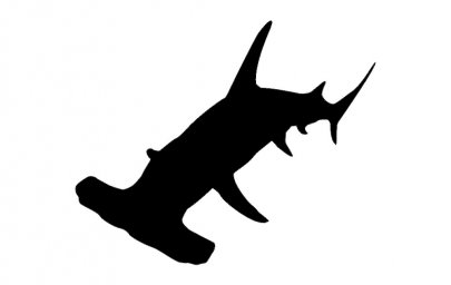 Скачать dxf - Акула вектор контур акула силуэт черный силуэт акулы