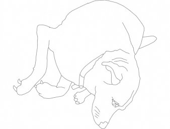 Скачать dxf - Рисунок рисунки лёгкие рисунки рисовать пантеру поэтапное рисование
