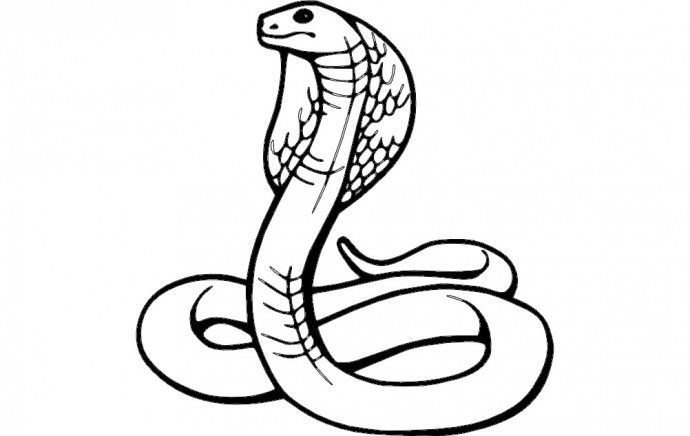 Скачать dxf - Раскраска змея рисунок змеи карандашом для детей змея