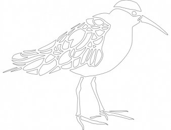 Скачать dxf - Раскраска птицы птица рисунок crow раскраска поэтапное рисование