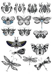 Орнамент бабочка бабочки векторные стилизация бабочки иллюстрация бабочки бабочки Распознать