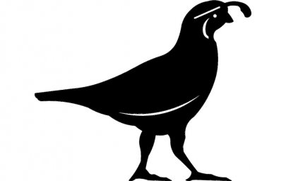 Скачать dxf - Голубь силуэт pigeon silhouette силуэт птицы силуэты голубь