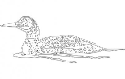 Скачать dxf - Раскраска утка раскраска дикая утка гагара птица раскраска