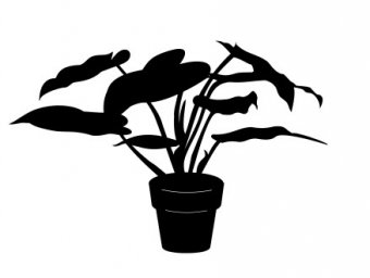 Скачать dxf - Силуэт домашнего растения комнатные растения силуэты предметов, растений