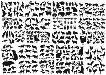 Силуэты животных рисунки силуэты животных животные силуэт векторные рисунки животных