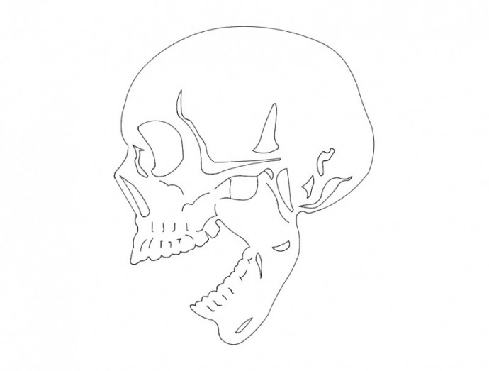 Скачать dxf - Раскраска череп человеческий раскраски черепа череп раскраска сбоку