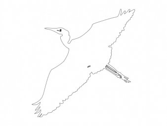 Скачать dxf - Раскраска журавл в полёте чайка контурный рисунок рисунок