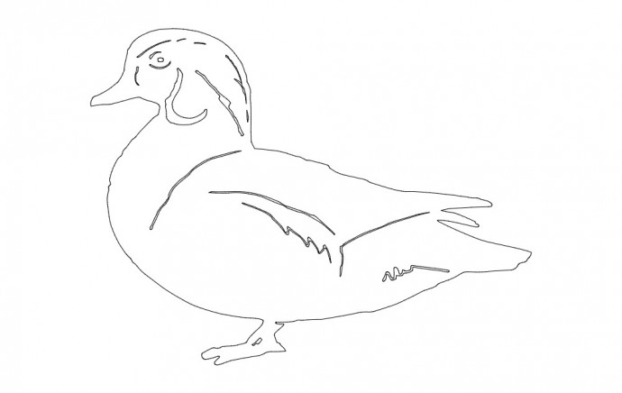 Скачать dxf - Утка контурный рисунок утка легкий рисунок рисунок утки