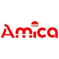 Amica логотип анкор логотип 2517