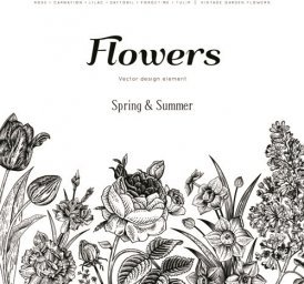 Цветы эскиз цветочные иллюстрации цветы узор вектор цветочный узор цветы на 4065