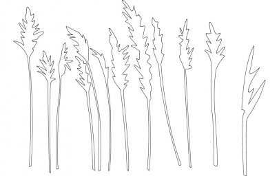 Скачать dxf - Растения рисунок рисунок полевые травинки силуэт травы растение