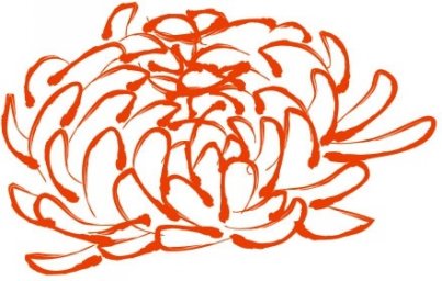 Рисунок цветы трафарет раскраска хризантема цветок лотос карандашом цветы