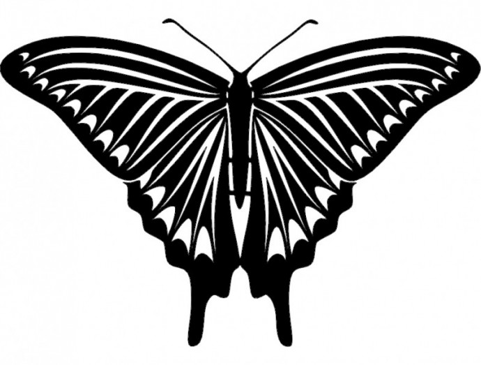 Скачать dxf - Бабочки силуэты бабочек для тату шаблон бабочки графика