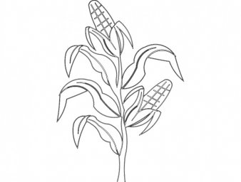 Скачать dxf - Кукуруза растение раскраска раскраска кукуруза рисунки для раскрашивания