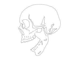 Скачать dxf - Раскраска череп человеческий раскраски черепа череп раскраска сбоку